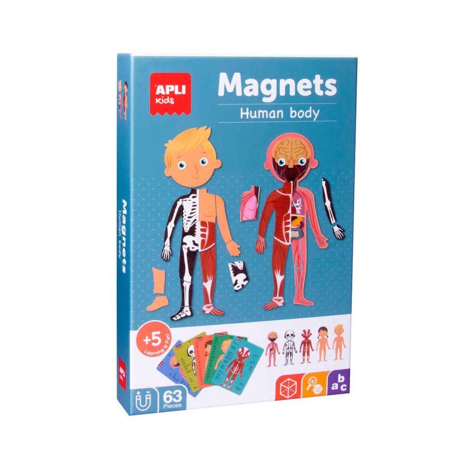 Magnets El cuerpo humano