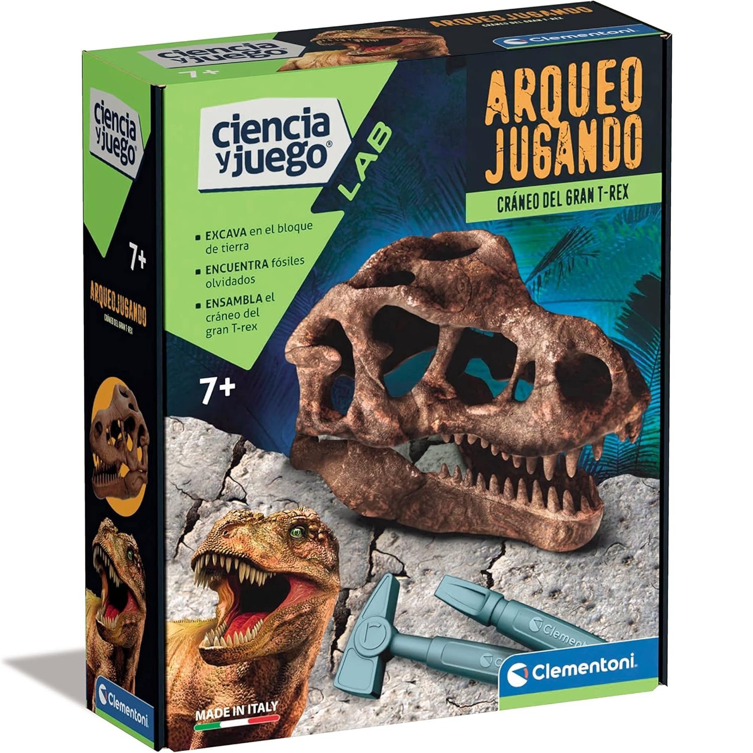 ARQUEO JUGANDO CRANEO DEL GRAN T REX