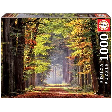 Puzzle 1000 Piezas - Paseo Otoñal