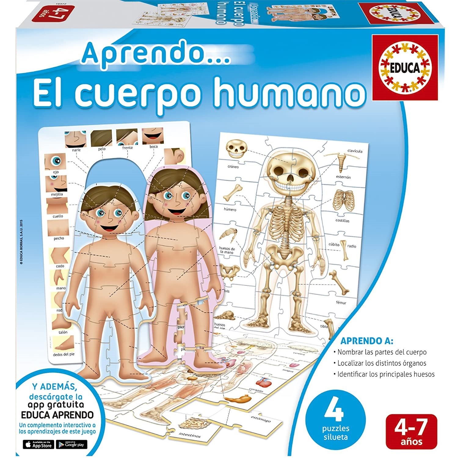 Educa Borrás- Aprendo El Cuerpo Humano