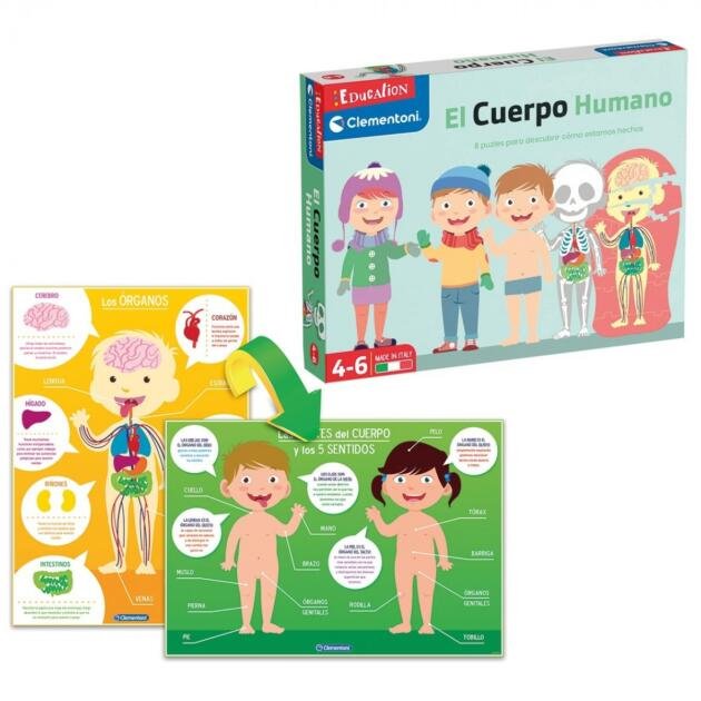 APRENDE EL CUERPO HUMANO